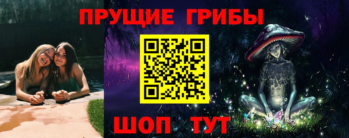 Псилоцибиновые грибы Cubensis  Вход с VPN  Дивногорск  дарнет шоп  Псилоцибиновые грибы Cubensis 
