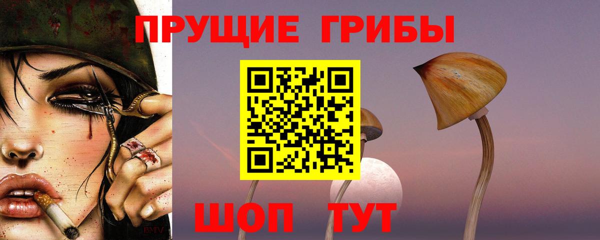 Галлюциногенные грибы прущие грибы Дивногорск